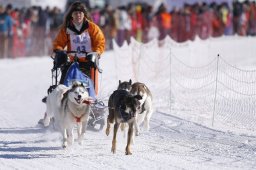 Lenk 2013